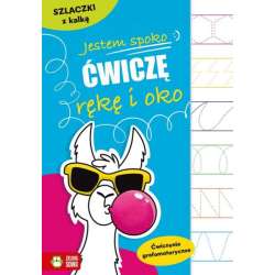Książeczka Jestem spoko. Ćwiczę rękę i oko. Szlaczki z kalką (9788382995954)