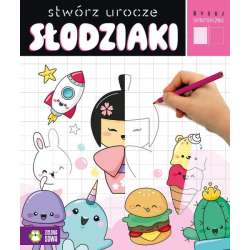 Książeczka Rysuj symetrycznie. Stwórz urocze słodziaki (9788382996203)