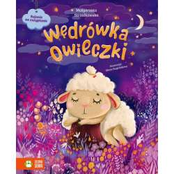 Książeczka Bajanie na zasypianie. Wędrówka owieczki (9788382996364) - 1