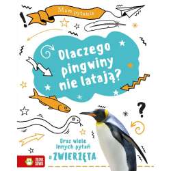 Mam pytanie. Dlaczego pingwiny nie latają?