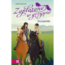 Książeczka Zaplątane w grzywie. Zła przyjaciółka (9788382998177)