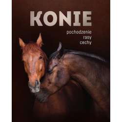 Konie. Pochodzenie, rasy, cechy