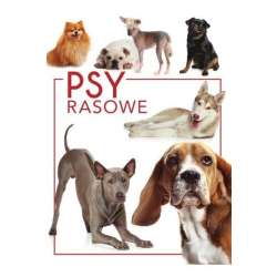 Psy rasowe