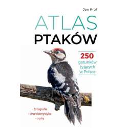 Atlas ptaków