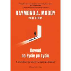 Dowód na życie po życiu