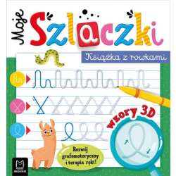 Moje Szlaczki. Książka z rowkami. Wzory 3D. Zabawy grafomotoryczne, terapia ręki (9788383740775)