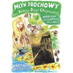 Młyn Prochowy oraz historie Drogi Chojnowskiej
