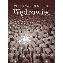 Wędrowiec - 1