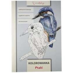 Kolorowanka Ptaki - 1