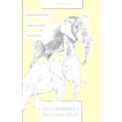 Kolorowanka. Zwierzęta Afryki - 1