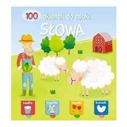 100 okienek do nauki. Słowa