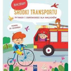 Dlaczego? Pytania i odpowiedzi.. Środki transportu