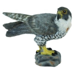COLLECTA 88399 SOKÓŁ rozmiar:S (004-88399)
