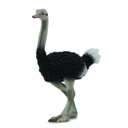 COLLECTA 88459 STRUŚ ROZMIAR:L (004-88459) - 1