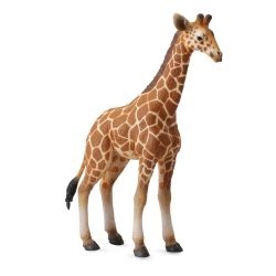 COLLECTA 88535 CIELĘ ŻYRAFY SIATKOWANEJ rozmiar:L (004-88535)