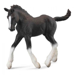 COLLECTA 88583 ŹREBIĘ RASY SHIRE -CZARNE rozmiar:M (004-88583) - 1