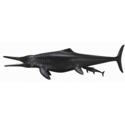 CollectA 88724 Dinozaur Temnodontoz rozmiar:XL (004-88724)