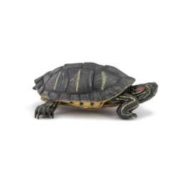 Papo 50309 Żółw z Florydy 2,2x6,1x4,6cm (PAPO 50309) - 1