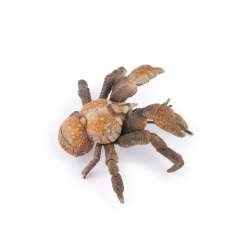 Papo 56020 Krab palmowy 10x8,8x3,4cm - 3
