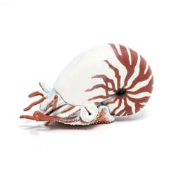 Papo 56061 Nautilus 7,5x3,8x4,5cm. (PAPO 56061) - 1