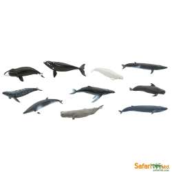 Safari Ltd 100072 Wieloryby w tubie od 3,25 do 9,5cm - 2