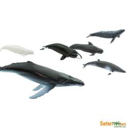Safari Ltd 100072 Wieloryby w tubie od 3,25 do 9,5cm - 4