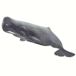 Safari Ltd 100209 Kaszalot spermacetowy 22,4x7,2x5,5 - 2