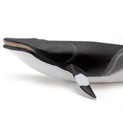 Safari Ltd 100413 Płetwal karłowaty 18x7x3,5cm - 5
