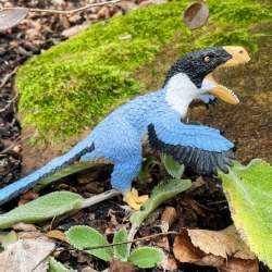 Safari Ltd 100728 Utahraptor 23x10x11,5cm - 4