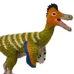 Safari Ltd 104993 Austroraptor 21,5x3,8x9cm - 1