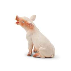 Safari Ltd 245829 Prosię siedzące 4,5x4,5cm - 2