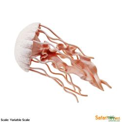 Safari Ltd 265529 Meduza 12,75 x 6cm - 2